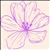 Magnolia Massage and Bodyworks