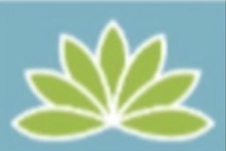 Therapeutic Massage 